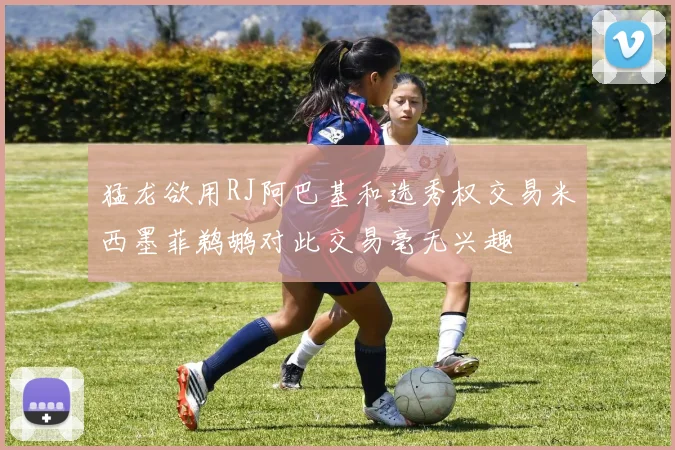 猛龙欲用RJ阿巴基和选秀权交易米西墨菲鹈鹕对此交易毫无兴趣